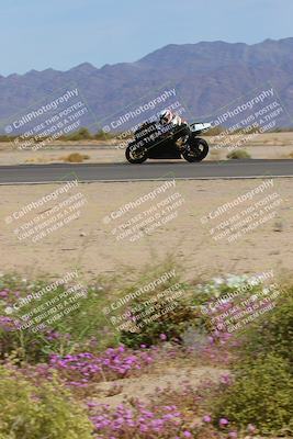 media/Mar-12-2023-SoCal Trackdays (Sun) [[d4c8249724]]/Turn 15 Inside Bloom (130pm)/